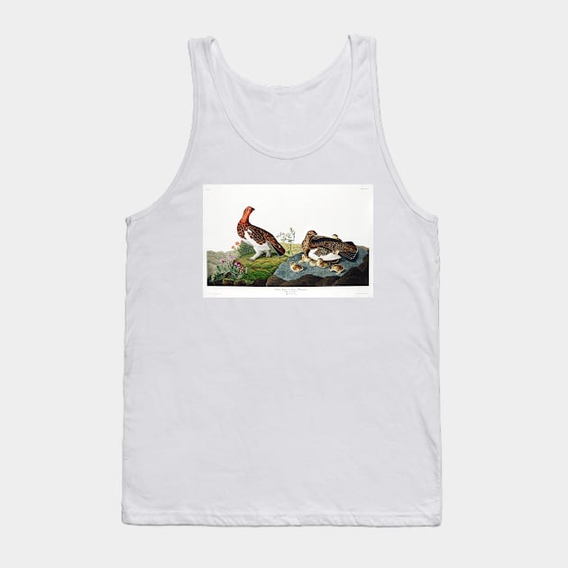 Willow Grouse, or Large Ptarmigan from Birds of America (1827) Tank Top by WAITE-SMITH VINTAGE ART
